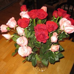 Meet your Posher, Patty